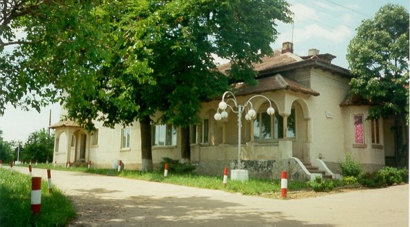 Photograph